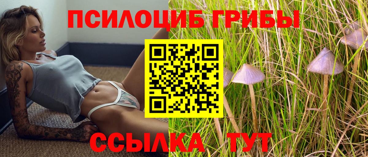 Галлюциногенные грибы Magic Shrooms Белебей